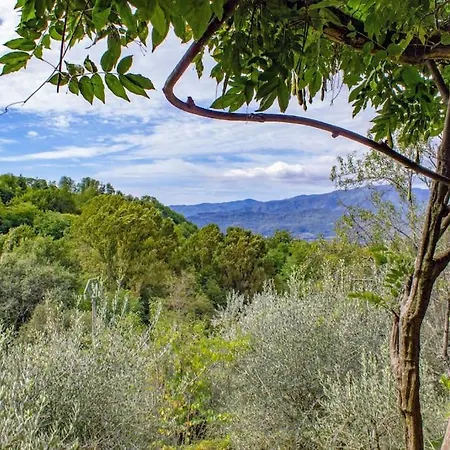 La Bicchieraia Stunning Country With Pool Villa