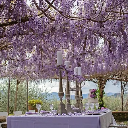 La Bicchieraia Stunning Country With Pool Villa